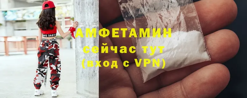 блэк спрут как войти  Малая Вишера  Amphetamine 98%  купить наркотик 